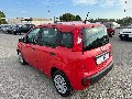 Fiat New Panda 1.0 FIREFLY HYBRID S&S 70 CV EASY Elettrica / Benzina