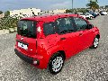 Fiat New Panda 1.0 FIREFLY HYBRID S&S 70 CV EASY Elettrica / Benzina