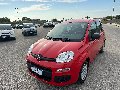 Fiat New Panda 1.0 FIREFLY HYBRID S&S 70 CV EASY Elettrica / Benzina