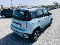 Fiat New Panda 1.0 FIREFLY HYBRID S&S 70 CV CROSS Elettrica / Benzina