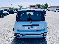 Fiat New Panda 1.0 FIREFLY HYBRID S&S 70 CV CROSS Elettrica / Benzina