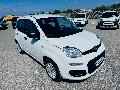 Fiat New Panda 1.2 69 CV EASY VAN N1 4POSTI Benzina