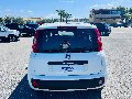 Fiat New Panda 1.2 69 CV EASY VAN N1 4POSTI Benzina