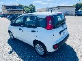 Fiat New Panda 1.2 69 CV EASY VAN N1 4POSTI Benzina