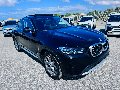 BMW X4 xDrive 20d 190 CV 48V AUTO MY2023 + TETTO Elettrica / Diesel