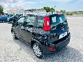 Fiat New Panda 1.0 FIREFLY HYBRID S&S 70 CV MY24 Elettrica / Benzina