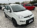 Fiat New Panda 1.0 FIREFLY HYBRID S&S 70 CV CITY LIFE Elettrica / Benzina