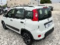 Fiat New Panda 1.0 FIREFLY HYBRID S&S 70 CV CITY LIFE Elettrica / Benzina