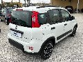 Fiat New Panda 1.0 FIREFLY HYBRID S&S 70 CV CITY LIFE Elettrica / Benzina