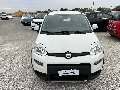 Fiat New Panda 1.0 FIREFLY HYBRID S&S 70 CV CITY LIFE Elettrica / Benzina