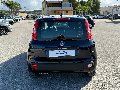 Fiat New Panda 1.2 69 CV LOUNGE Benzina