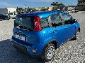 Fiat New Panda PANDINA 1.0 HYBRID S&S 70 CV MY24 Elettrica / Benzina