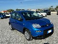 Fiat New Panda PANDINA 1.0 HYBRID S&S 70 CV MY24 Elettrica / Benzina