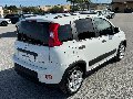 Fiat New Panda 1.0 FIREFLY HYBRID S&S 70 CV CITY LIFE Elettrica / Benzina