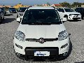 Fiat New Panda 1.0 FIREFLY HYBRID S&S 70 CV CITY LIFE Elettrica / Benzina