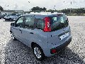 Fiat New Panda 1.0 FIREFLY HYBRID S&S 70 CV Elettrica / Benzina