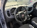 Fiat New Panda 1.0 FIREFLY HYBRID S&S 70 CV Elettrica / Benzina