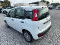 Fiat New Panda PANDINA 1.0 HYBRID S&S 70 CV MY25 Elettrica / Benzina