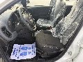 Fiat New Panda PANDINA 1.0 HYBRID S&S 70 CV MY25 Elettrica / Benzina