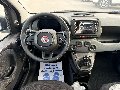 Fiat New Panda PANDINA 1.0 HYBRID S&S 70 CV MY25 Elettrica / Benzina