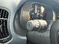 Fiat New Panda PANDINA 1.0 HYBRID S&S 70 CV MY25 Elettrica / Benzina