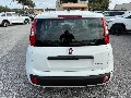 Fiat New Panda PANDINA 1.0 HYBRID S&S 70 CV MY25 Elettrica / Benzina