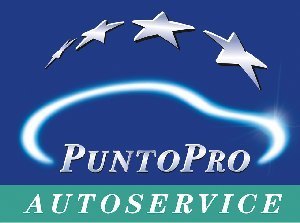 Officina servizio PuntoPro e blu officina