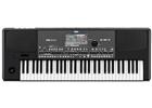 TASTIERA ARRANGER  KORG PA600