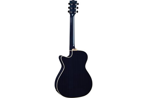 CHITARRA ACUSTICA ELETTRIFICATA EKO NXT A100ce See Through Blue