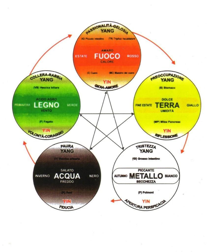 ARMONIA DEL CORPO ATTRAVERSO LA MORFOLOGIA DEI 5 ELEMENTI