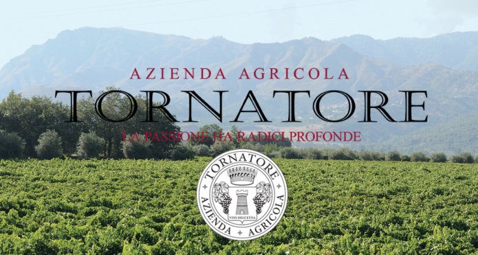 WINE TOUR, AZIENDA AGRICOLA TORNATORE