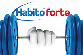 Lastra ad elevatissime prestazioni GYPROC HABITO FORTE Saint Gobain Habito Forte