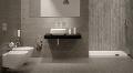 ESEDRA sanitari. Forme pulite e geometrie semplici con linee rette e curve. Esedra BULL 500