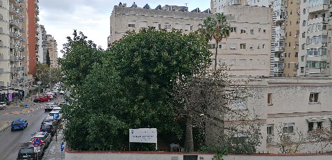Appartamento in Vendita a Palermo VIA LEONARDO DA VINCI BASSA