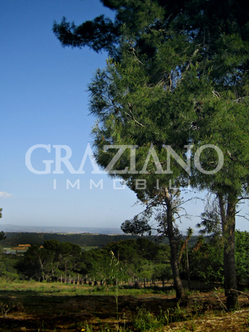 Agriturismo in Affitto a Caltagirone (Catania)