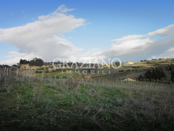 Terreno Agricolo in Vendita a Caltagirone (Catania)