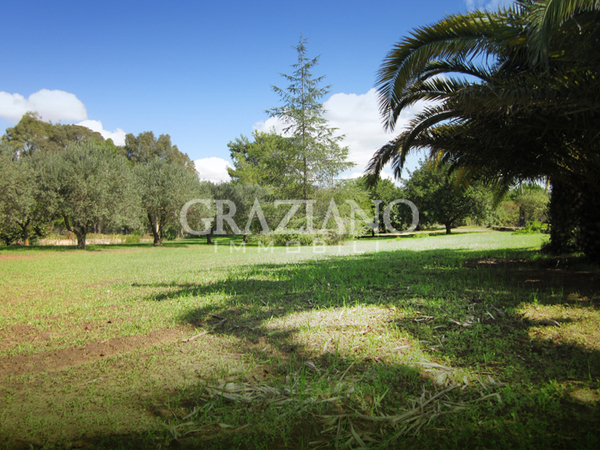 Terreno Edificabile in Vendita a Caltagirone Contrada Mazzone (Catania)