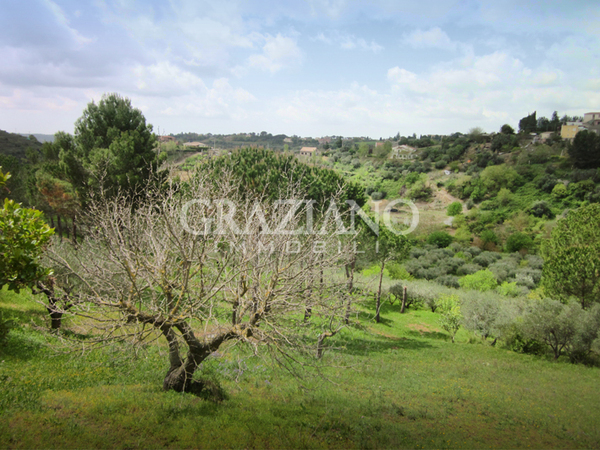 Casa singola in Vendita a Caltagirone (Catania)