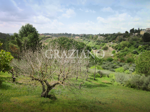 Casa singola in Vendita a Caltagirone (Catania)