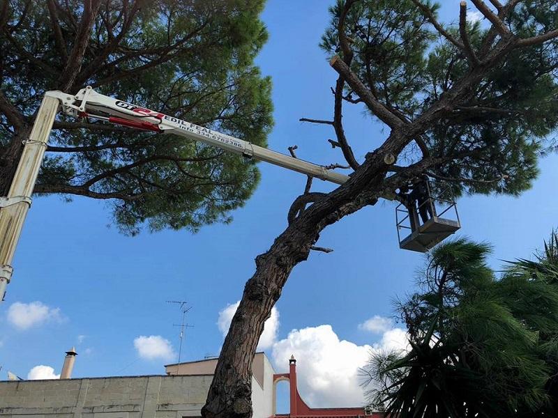 PIATTAFORMA AEREA CELA, CESTELLO DT TRUCK 25 - SICILIA CELA DT 25
