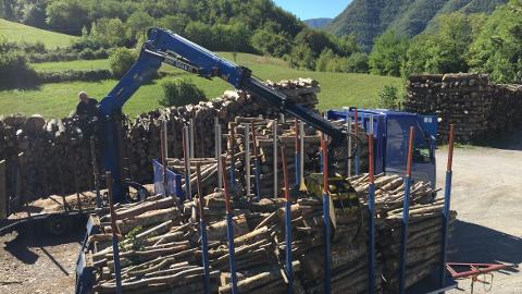 GRU FORESTALI MARCHESI SERIE Z - SICILIA
