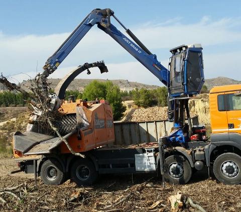GRU FORESTALI MARCHESI SERIE RS - SICILIA