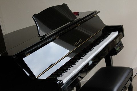 Pianoforti Digitali