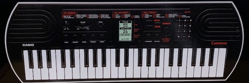 Tastierina 44 tasti Casio SA80-81