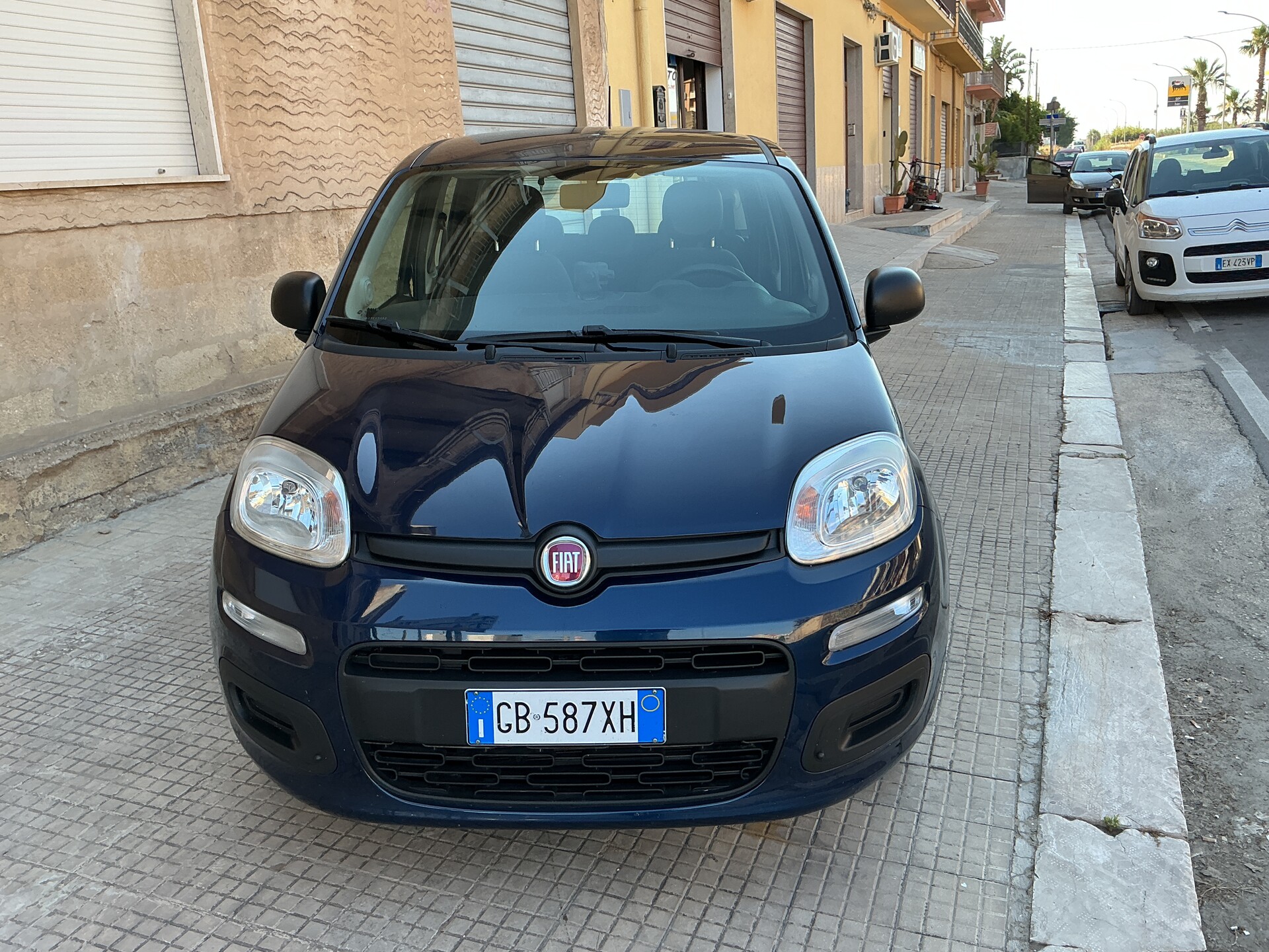 Fiat Panda Elettrica / Benzina
