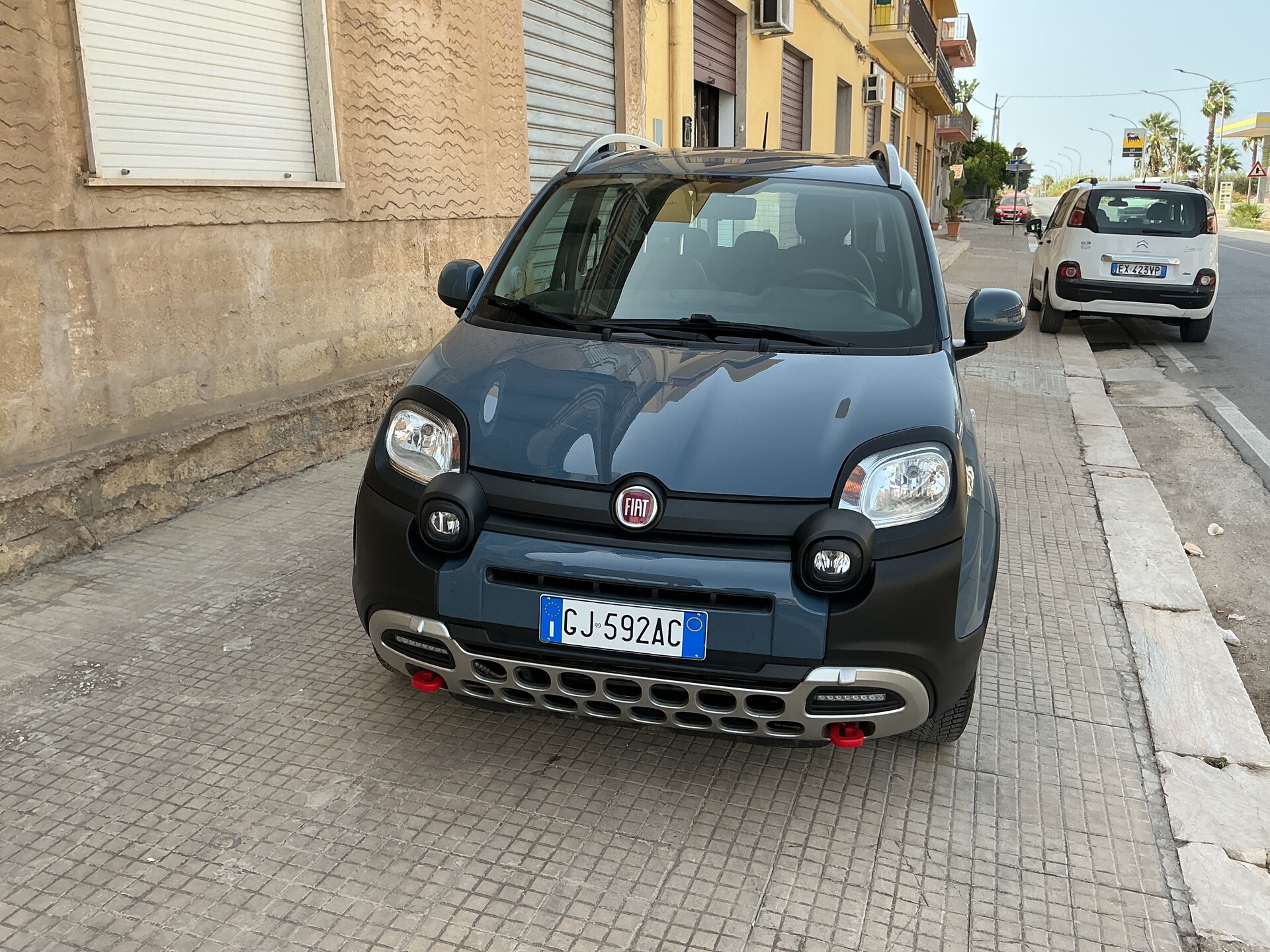 Fiat Panda Cross Elettrica / Benzina