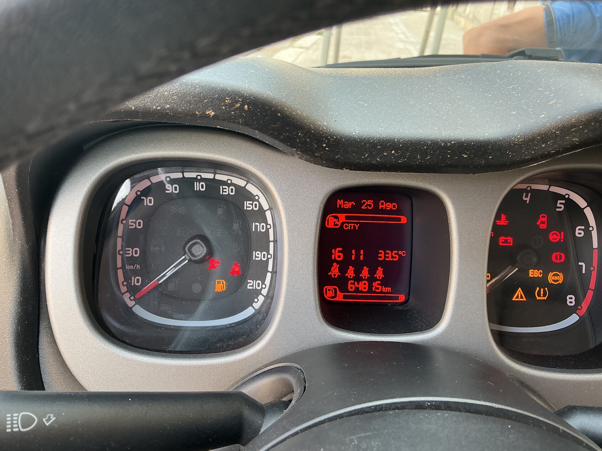 Fiat Panda Cross Elettrica / Benzina