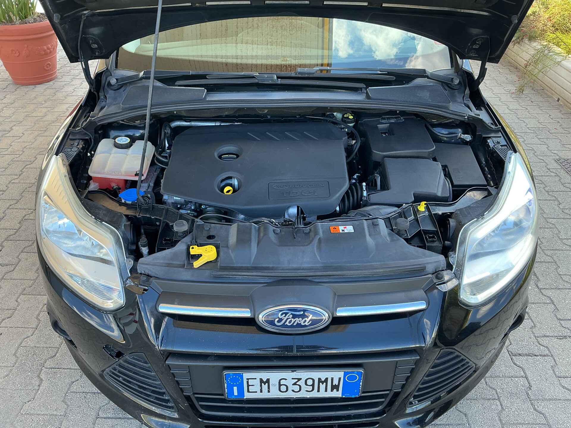 Ford Focus Diesel