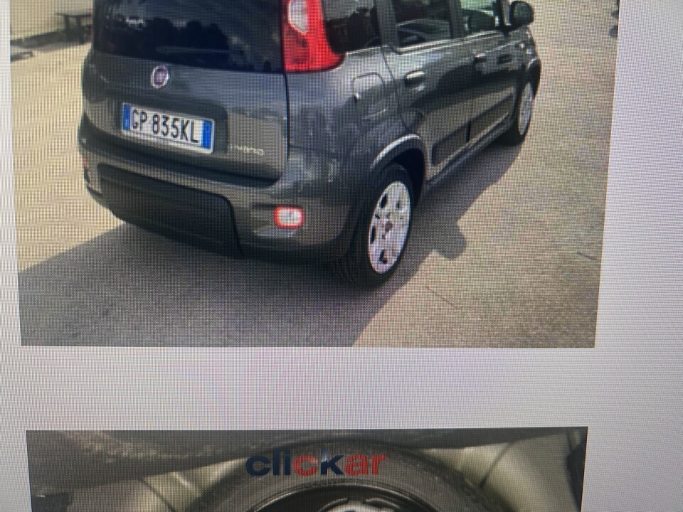 Fiat New Panda Elettrica / Benzina