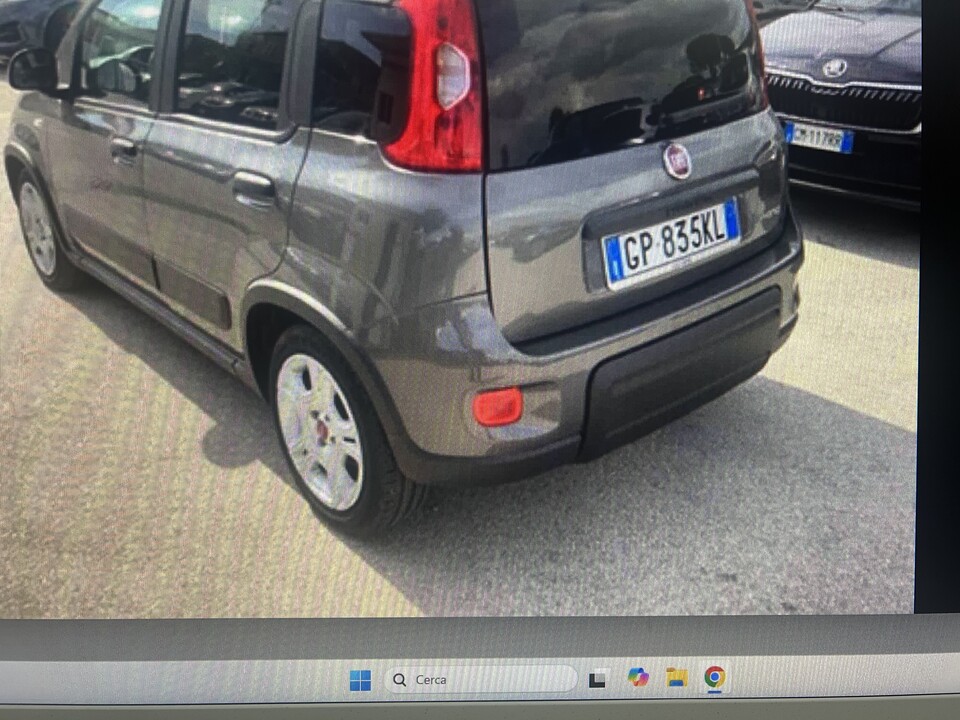 Fiat New Panda Elettrica / Benzina